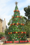Melbourne: Christmas Tree