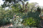 Melbourne: Royal Botanic Gardens