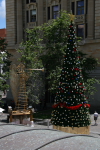 Perth: Christmas Tree
