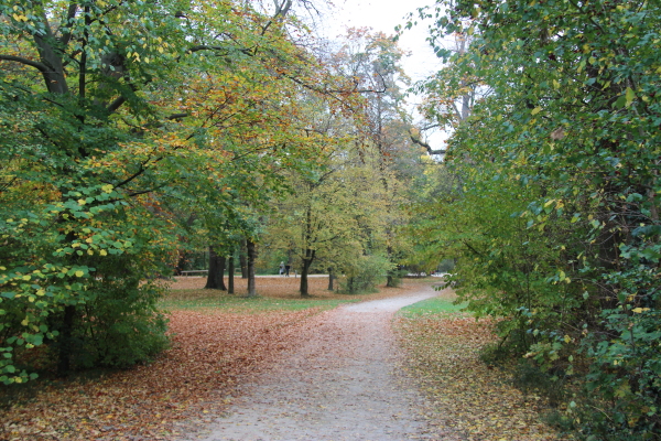  München: Im Englischen Garten