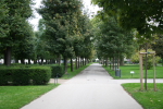 Wien: Ein Park